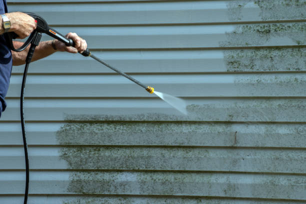 Best Gutter Cleaning and Brightening in Oconomowoc, WI